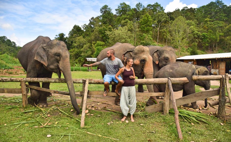 Top Three Things You Need To Know To Find The Best Elephant Sanctuary In Chiang Mai