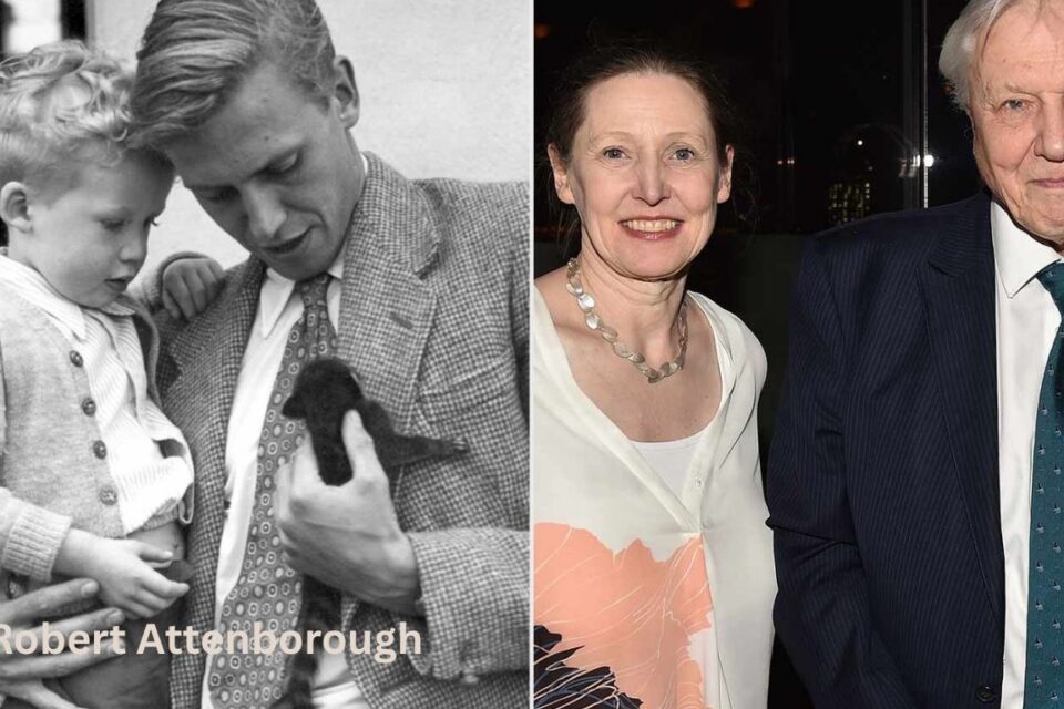 Robert Attenborough’s Age, Career, and Family Details