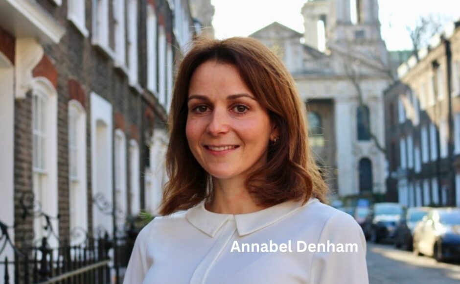 The Political Views, Career, and Life of Annabel Denham