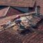 Common Types of Roof Damage and How to Repair Them